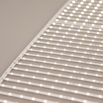 ed382c1930325c08c31af8552c8a16e5